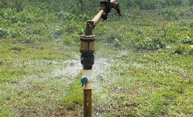 Rancho en Venta en Santa Rosa Tizimin