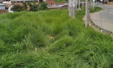 VENDO EXCELENTE LOTE MULTIUSOS