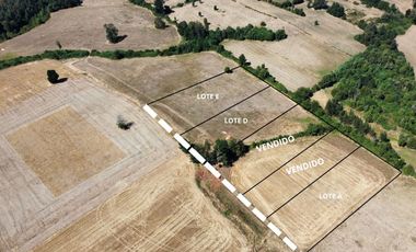 Se Vende Parcela Sector Liucura, Paillaco, Región de Los Ríos