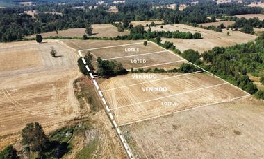 Se Vende Parcela Sector Liucura, Paillaco, Región de Los Ríos