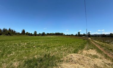 Se Vende Parcela Sector Liucura, Paillaco, Región de Los Ríos