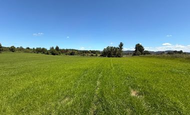 Se Vende Parcela Sector Liucura, Paillaco, Región de Los Ríos