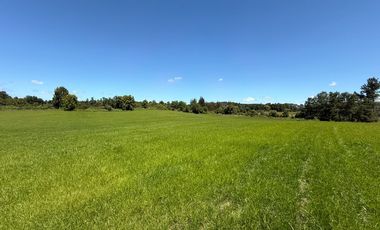 Se Vende Parcela Sector Liucura, Paillaco, Región de Los Ríos