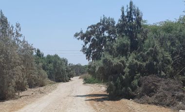 ¡Oportunidad De Terreno De 450 M2 En Los Órganos – Ideal Para Inversión!-Gmartinez