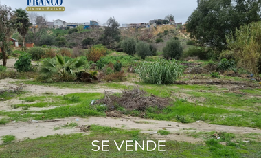 ‼️ 1 Hectárea por el Blvd 2000 ‼️⁣