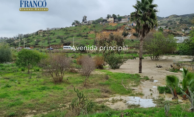 ‼️ 1 Hectárea por el Blvd 2000 ‼️⁣