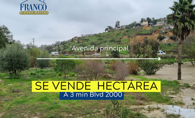 ‼️ 1 Hectárea por el Blvd 2000 ‼️⁣