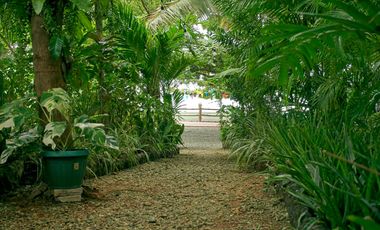 Stunning Cliff-Top Beachfront Resort in Initao