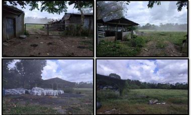 Lot for sale at Brgy. San Miguel,San Pablo,Laguna City