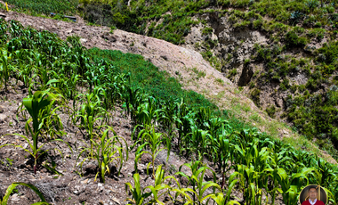 Terreno economico de venta en el Canton Paute Sector Pirincay