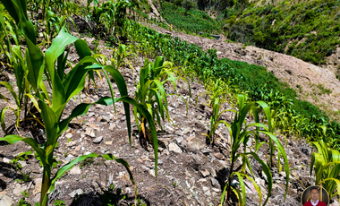 Terreno economico de venta en el Canton Paute Sector Pirincay