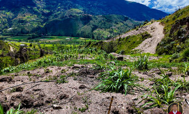 Terreno economico de venta en el Canton Paute Sector Pirincay