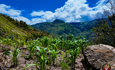 Terreno economico de venta en el Canton Paute Sector Pirincay