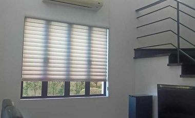 FULLY FURNISHED HOUSE FOR RENT IN SOUTH FORBES