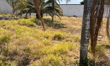 TERRENO EN VENTA SOBRE CARRETERA SAN ISIDRO MAZATEPEC