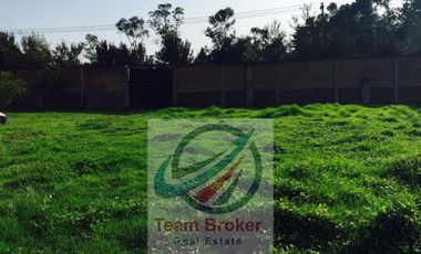 TERRENO DE USO DE SUELO COMERCIAL SOBRE AVENIDA EN XOCHIMILCO 5,900 M2