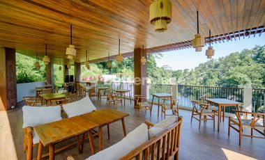 Bali Real Estate Investment Opportunity: Leasehold Villa with Spectacular Views in Ubud-Tegalalang