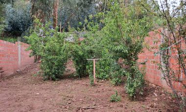 SE VENDE LINDA CASITA CON UNA AMPLIA ÁREA DE TERRENO DE 468.88m2 EN LA LOCALIDAD DE HUASAO