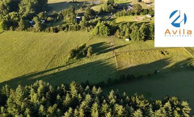 Villarrica sector Villa Alegre a 19 Km de Villarrica parcela de 5.900m2 COD.VTAP199