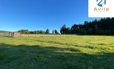 Villarrica sector Villa Alegre a 19 Km de Villarrica parcela de 5.900m2 COD.VTAP199