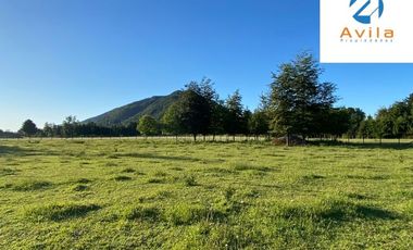 Villarrica sector Villa Alegre a 19 Km de Villarrica parcela de 5.900m2 COD.VTAP199