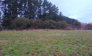 🌟 ¡Descubre Tu Espacio Ideal! Venta de Parcelas de 5000 m² 🌟