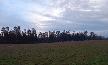 🌟 ¡Descubre Tu Espacio Ideal! Venta de Parcelas de 5000 m² 🌟