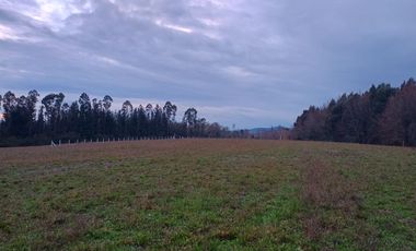 🌟 ¡Descubre Tu Espacio Ideal! Venta de Parcelas de 5000 m² 🌟