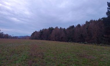 🌟 ¡Descubre Tu Espacio Ideal! Venta de Parcelas de 5000 m² 🌟