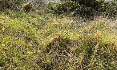 Terreno de venta en Quito, sector La Santiago Alto