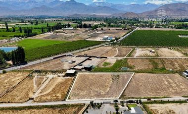 CALLE LARGA - VENDE TERRENO DE 5.000 m2 LOS VILLARES