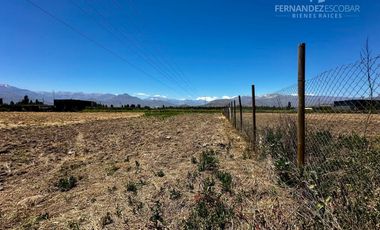 CALLE LARGA - VENDE TERRENO DE 5.000 m2 LOS VILLARES