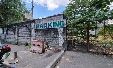 Prime Commercial Lot for Sale Near United Nations Avenue (LRT1)