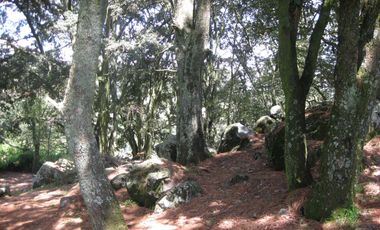Terreno en Canalejas Jilotepec desde 2 mil mts con frente calle