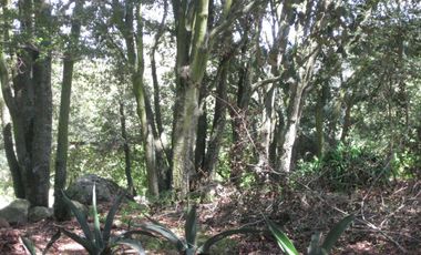 Terreno en Canalejas Jilotepec desde 2 mil mts con frente calle