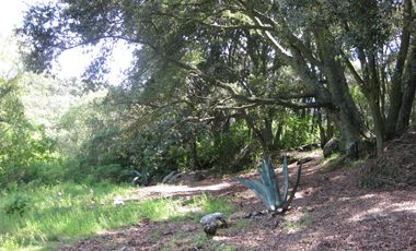 Terreno en Canalejas Jilotepec desde 2 mil mts con frente calle