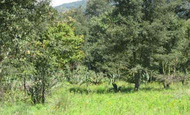 Terreno en Canalejas Jilotepec desde 2 mil mts con frente calle
