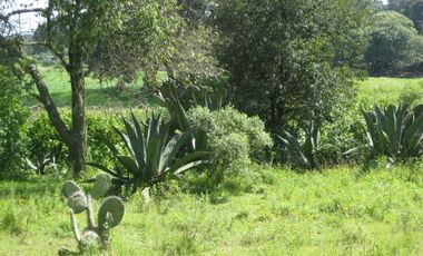 Terreno en Canalejas Jilotepec desde 2 mil mts con frente calle