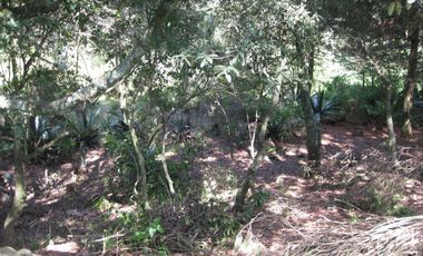 Terreno en Canalejas Jilotepec desde 2 mil mts con frente calle