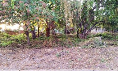 TERRENO EN VENTA