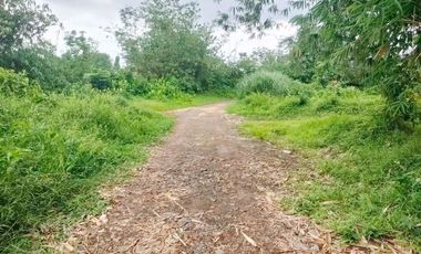 Jual Tanah 103 Hektar di Jasinga Bogor Cocok Untuk Perumahan, Pabrik, Gudang (GRATIS Biaya SHM)