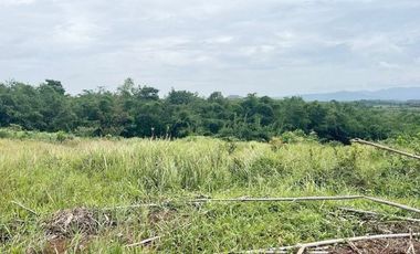 Jual Tanah 103 Hektar di Jasinga Bogor Cocok Untuk Perumahan, Pabrik, Gudang (GRATIS Biaya SHM)