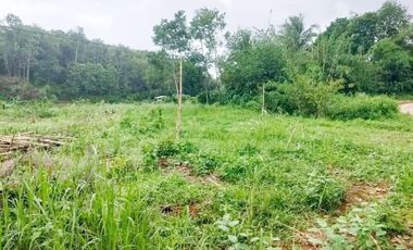 Jual Tanah 103 Hektar di Jasinga Bogor Cocok Untuk Perumahan, Pabrik, Gudang (GRATIS Biaya SHM)