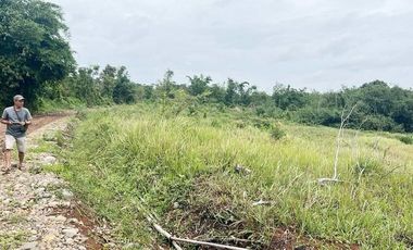 Jual Tanah 103 Hektar di Jasinga Bogor Cocok Untuk Perumahan, Pabrik, Gudang (GRATIS Biaya SHM)