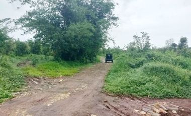 Jual Tanah 103 Hektar di Jasinga Bogor Cocok Untuk Perumahan, Pabrik, Gudang (GRATIS Biaya SHM)