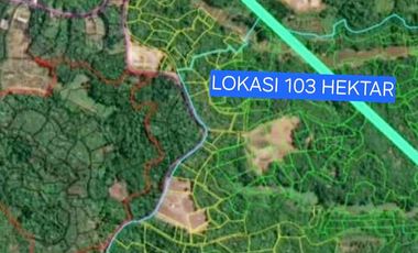 Jual Tanah 103 Hektar di Jasinga Bogor Cocok Untuk Perumahan, Pabrik, Gudang (GRATIS Biaya SHM)