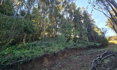 TERRENO 1 HA, SECTOR SANTA MARIA, PUERTO VARAS