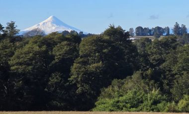 TERRENO 1 HA, SECTOR SANTA MARIA, PUERTO VARAS
