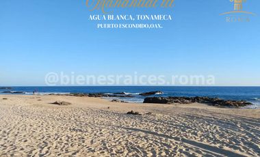 TERRENOS EN PLAYA AGUA BLANCA EN PUERTO ESCONDIDO