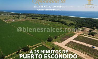 TERRENOS EN PLAYA AGUA BLANCA EN PUERTO ESCONDIDO